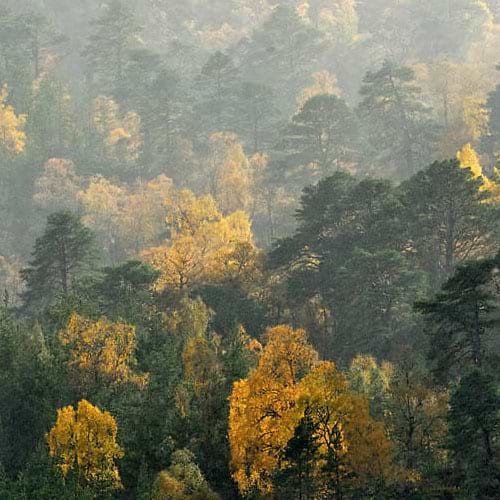 Sowing the seeds for a sustainable future