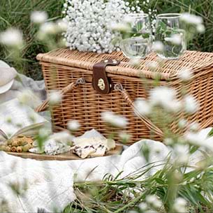 The Art of the Picnic