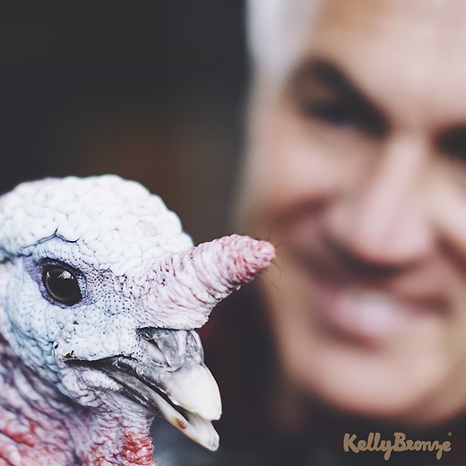What's so special about a KellyBronze turkey?