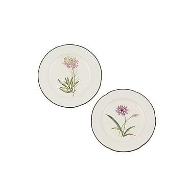 Two Derby Botanical Plates