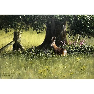 Roebuck & Foxgloves by Geoff Rollinson