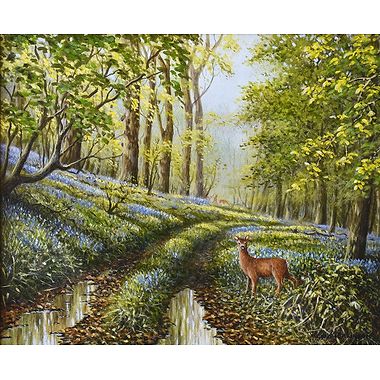 Spring Roe by Geoff Rollinson