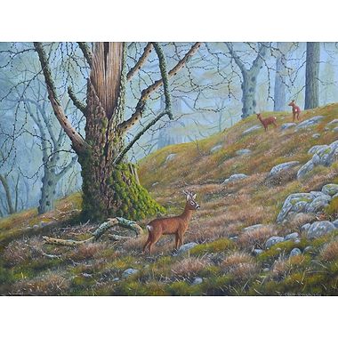 Roe and Wren by Geoff Rollinson