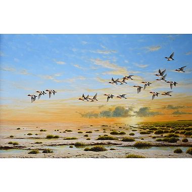 Widgeon Dawn by Geoff Rollinson