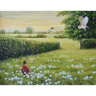 Dandelion Clocks by Geoff Rollinson