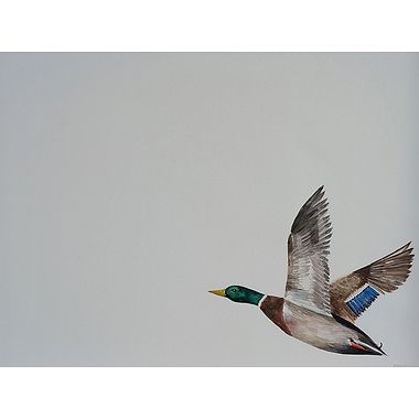 Trying to Catch Up, Mallard by Naoimh O'Shea
