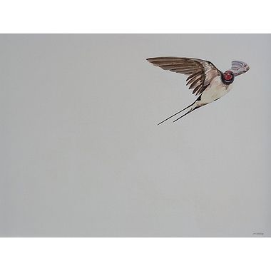 Homeward Bound, Swallow by Naoimh O'Shea