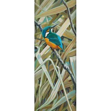 Kingfisher at Lackford Lakes by Brin Edwards
