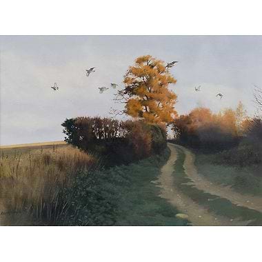 Greys Over the Track by Ben Hoskyns