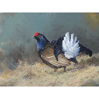 Blackcock by Ben Hoskyns