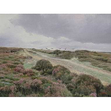 Moorland Track by Ben Hoskyns