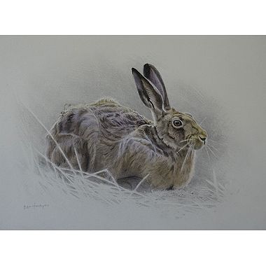 Brown Hare by Ben Hoskyns