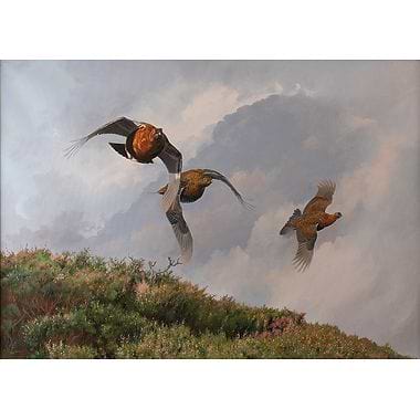 On the Wing by Ben Hoskyns