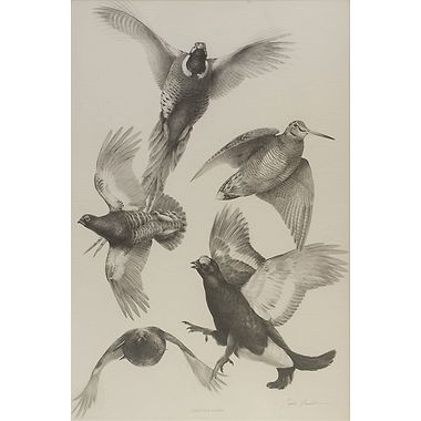 Game Bird Studies by Terence Lambert