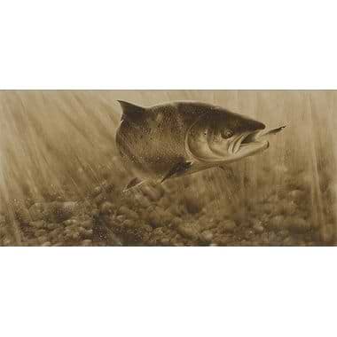 Salmon by Terence Lambert