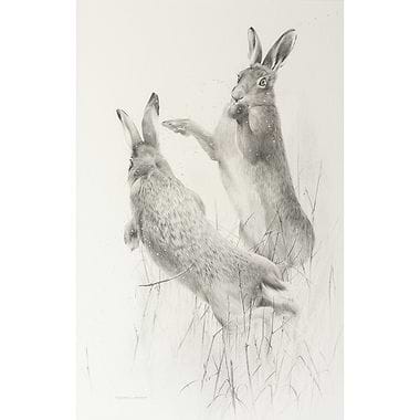 Hare Madness by Terence Lambert