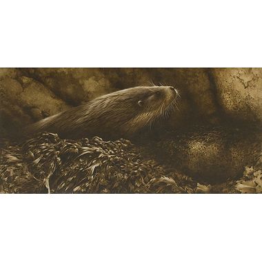 Otter by Terence Lambert
