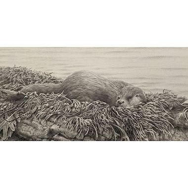 Houled Out (Otter) Revisited by Terence Lambert