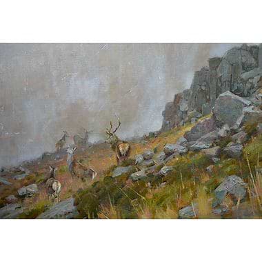 Wild & Wet by Ian MacGillivray
