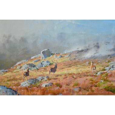 Between the Light and Mist by Ian MacGillivray