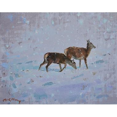 Hind and Calf, Winter by Ian MacGillivray
