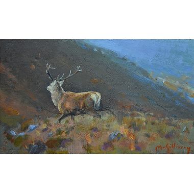 Stag by Ian MacGillivray