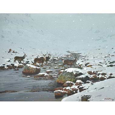 Chill by Ian MacGillivray
