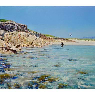 Sea Air by Ian MacGillivray