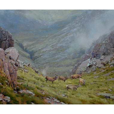 Highlander by Ian MacGillivray
