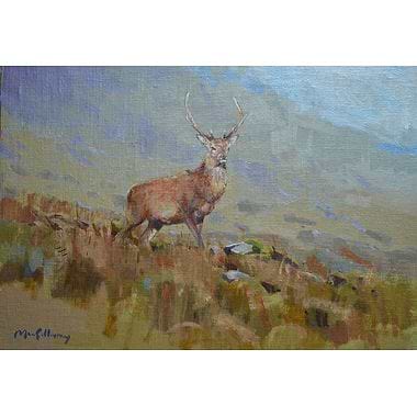 Switchy Tops by Ian MacGillivray