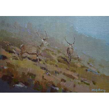 Two Stags by Ian MacGillivray