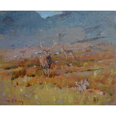 Look Out by Ian MacGillivray