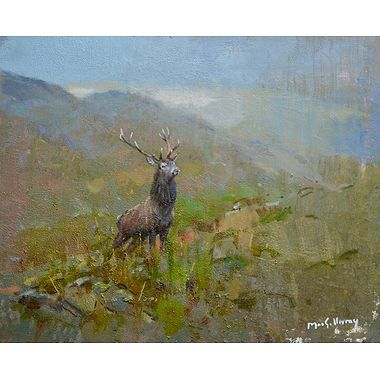 Top Boy by Ian MacGillivray