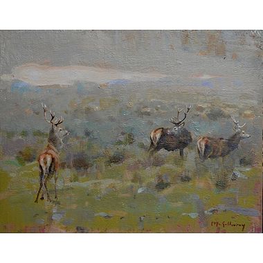 Challenge by Ian MacGillivray