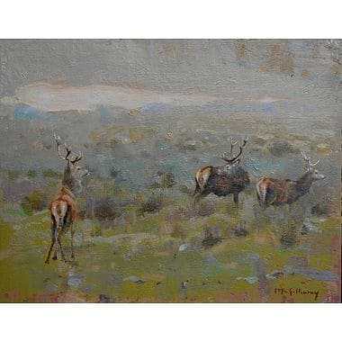 Challenge by Ian MacGillivray