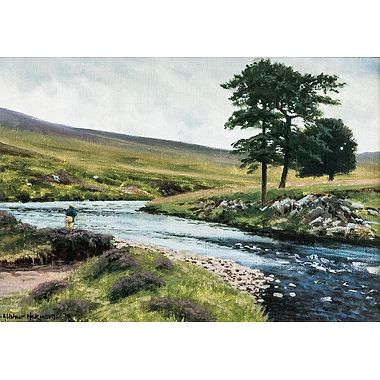 River Helmsdale, Garden Pool by Alistair Makinson