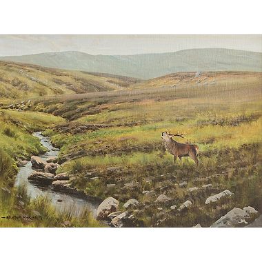 Rutting Stag by Alistair Makinson
