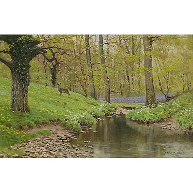 Roe by Stream by Alistair Makinson