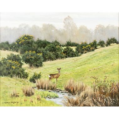 Spring Time Roebuck by Alistair Makinson