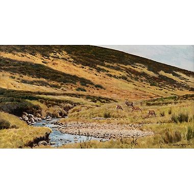 Deer by the Burn by Alistair Makinson