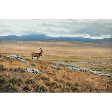 Lone Stag by Alistair Makinson