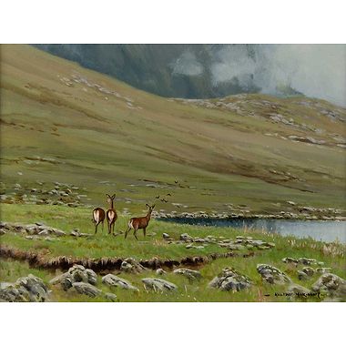 Watchful Hinds by Alistair Makinson