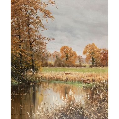 Autumn Roe by Alistair Makinson