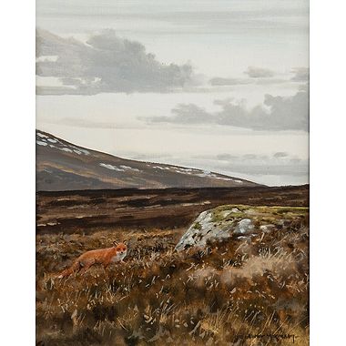 Highland Fox by Alistair Makinson