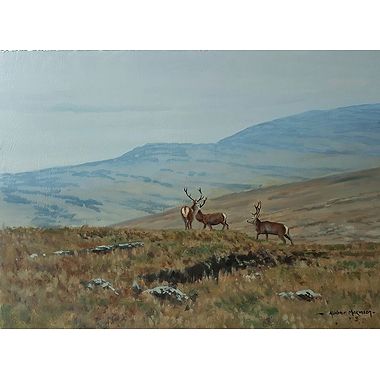 Stag Trio by Alistair Makinson