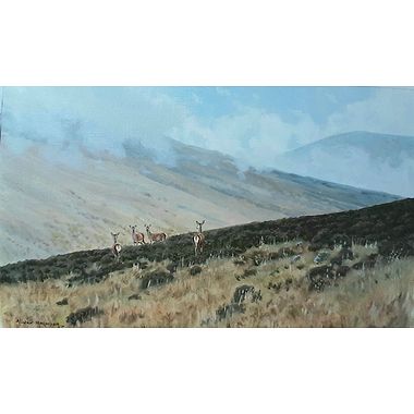 Watchful Hinds by Alistair Makinson