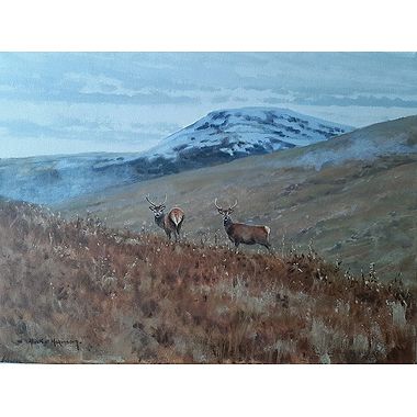 Winter Stags by Alistair Makinson