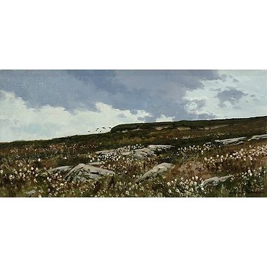 Grouse on the Skyline by Alistair Makinson