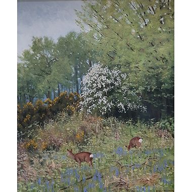 Roe Deer in May by Alistair Makinson
