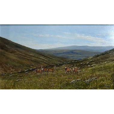 Red Hinds by Alistair Makinson